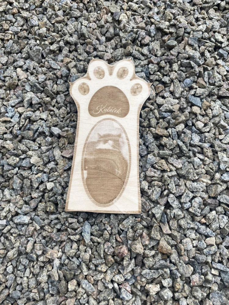 Gravírovaná fotka - kočička